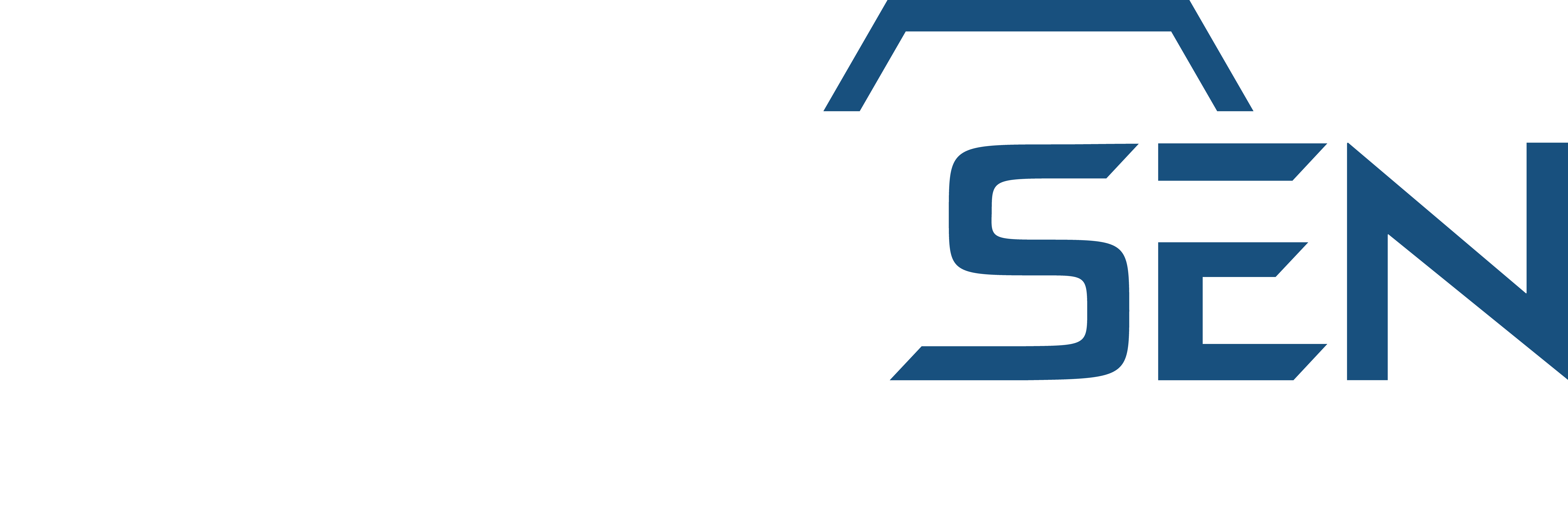 NanoSen Logo